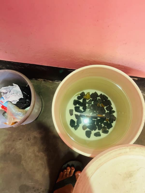 Aquarium ghar