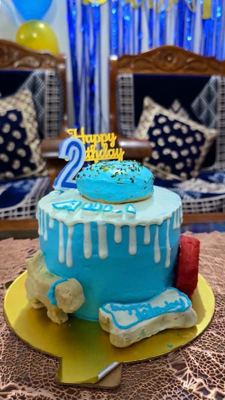 Petlicious Dog Cake Bakery